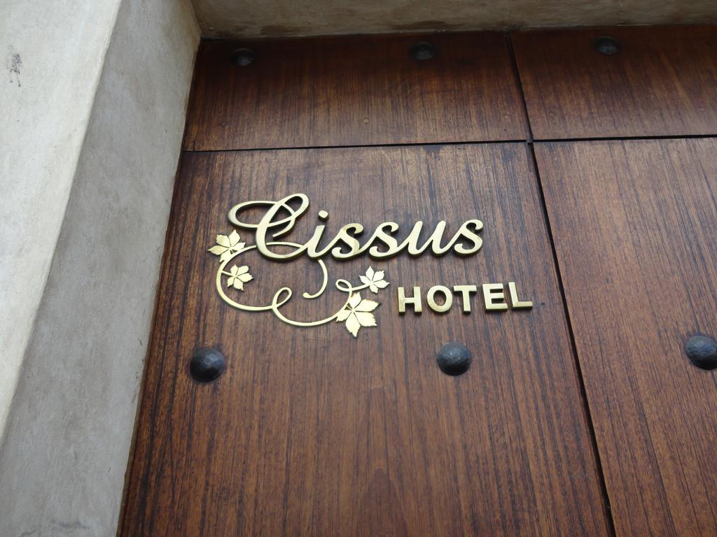 Cissus Hotel Boutique (Adults Only) Antigua Habitación foto